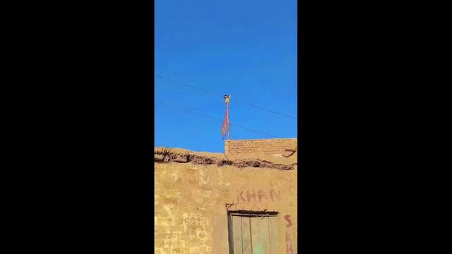 @khanjamali