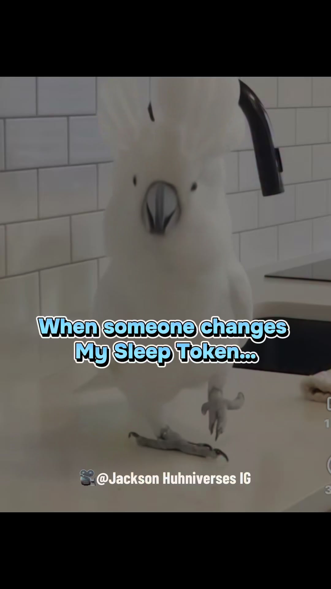 @ℬ𝓁𝒾𝓈𝓈𝒻𝓊𝓁❌𝒜𝓃𝑔𝓊𝒾𝓈𝒽