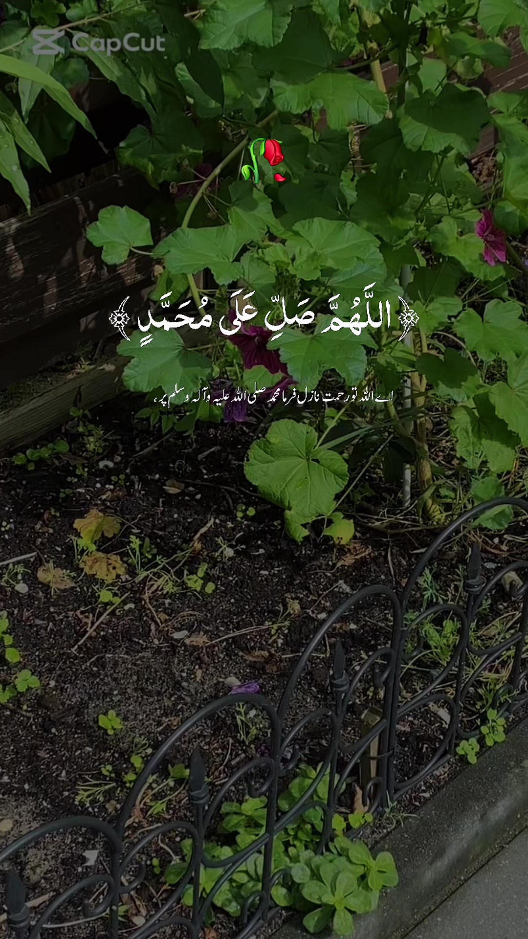 @LIFEOFSHAHIDA