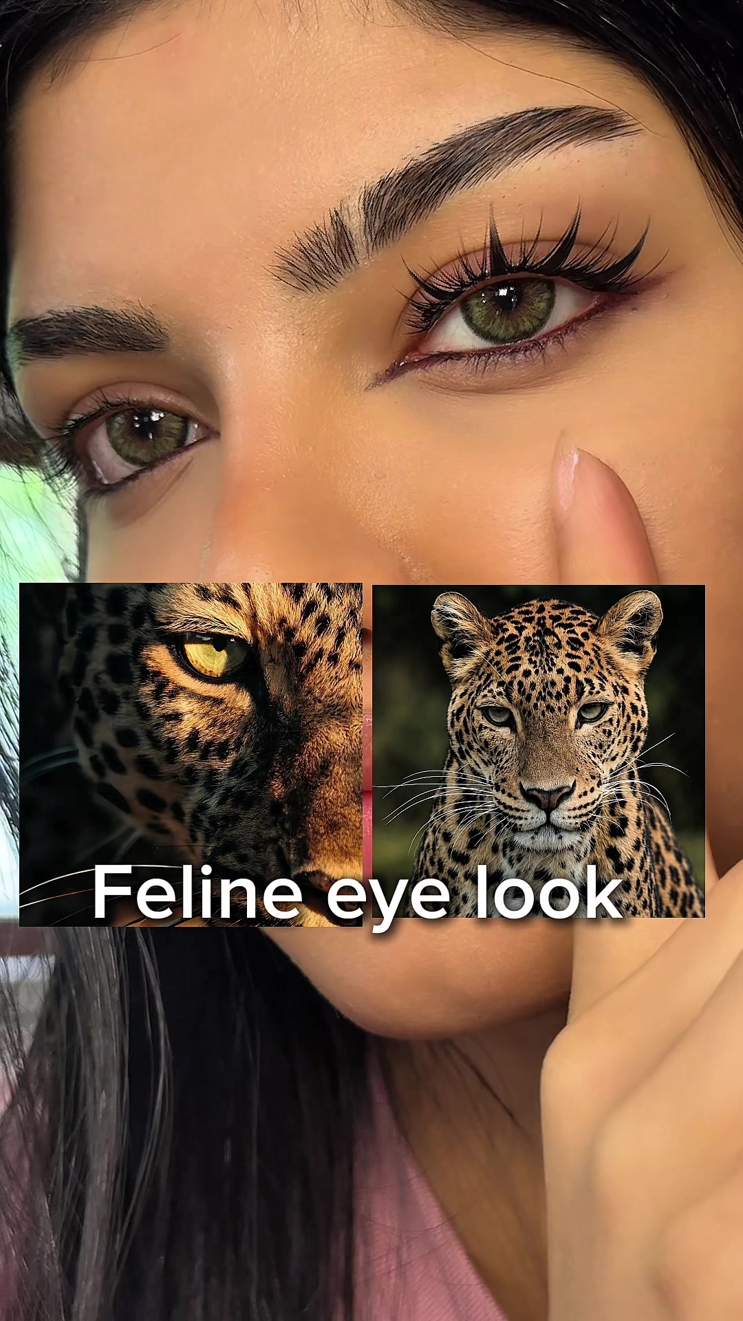 @✨ 𝓐𝓻𝓶𝓲𝓽𝓪✨