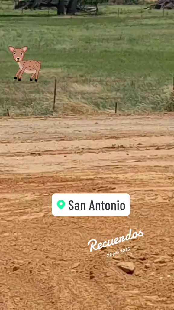 @Mil🇲🇽🇺🇸