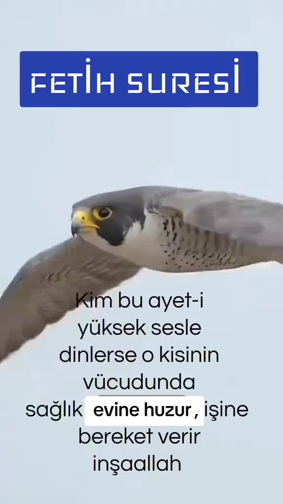 @𝆺⎯꯭̽❥✯K🎀Huzurum🎀E✯𝆺𝆺⎯꯭̽❥