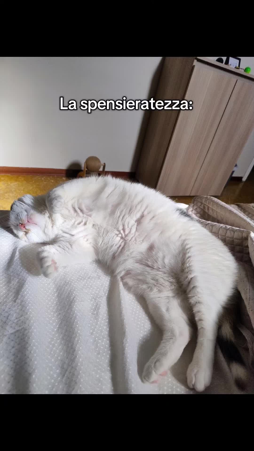 @Andyus