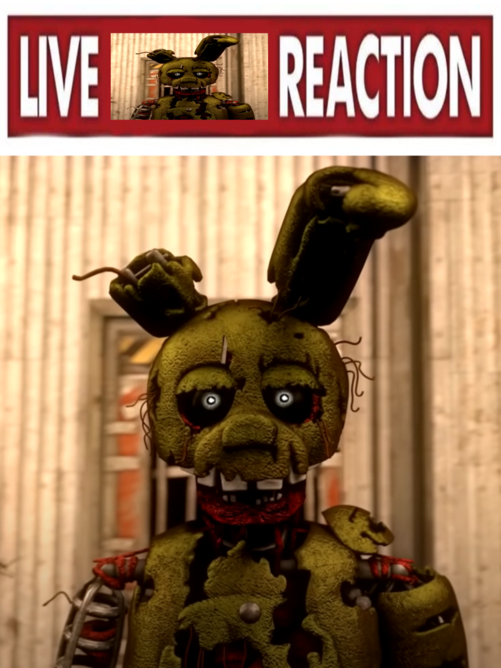 @Findy