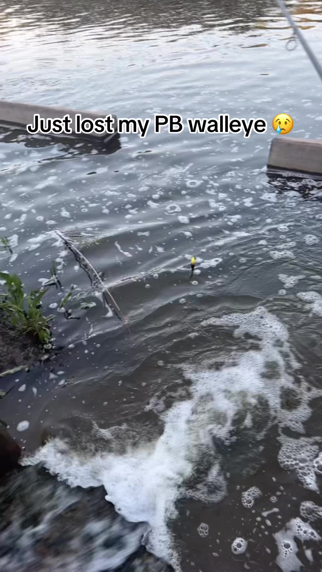 @Hammillfishing