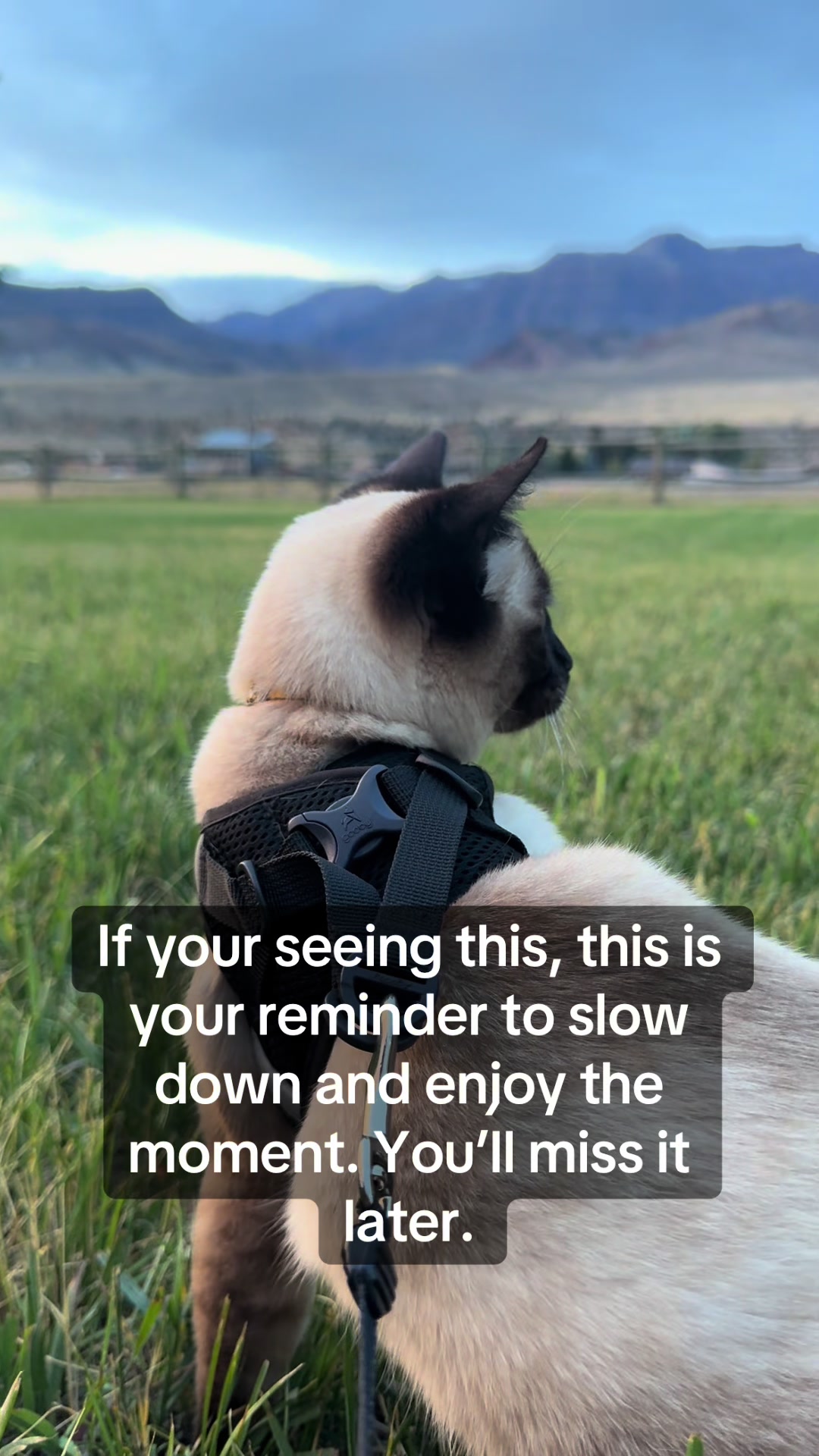@SkippyJosAdventures