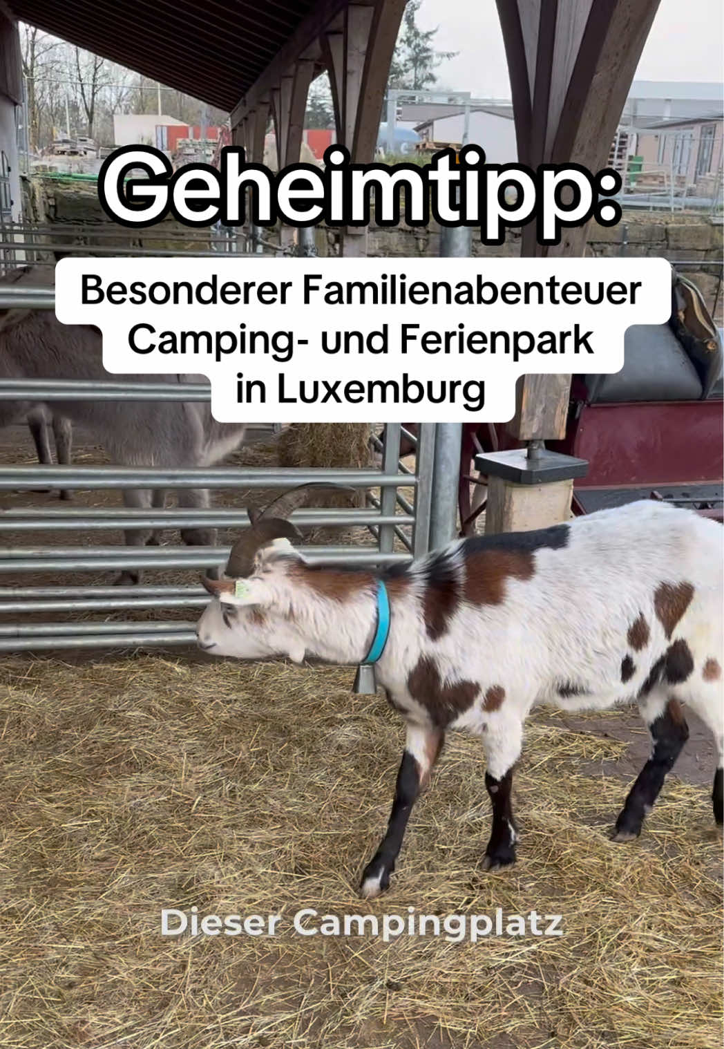 @Flo Minifluchten | Reisetipps