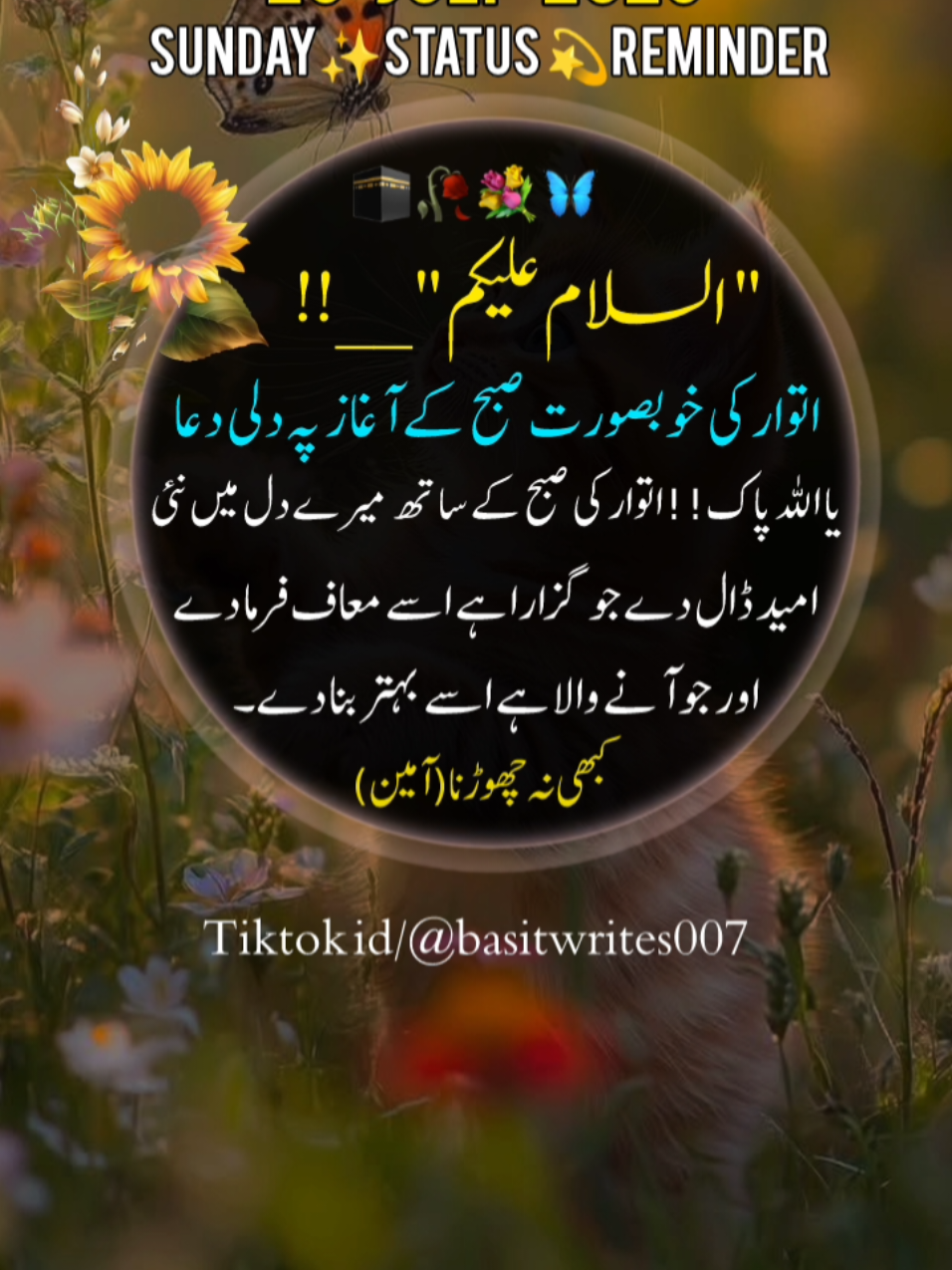 @basitwrites007