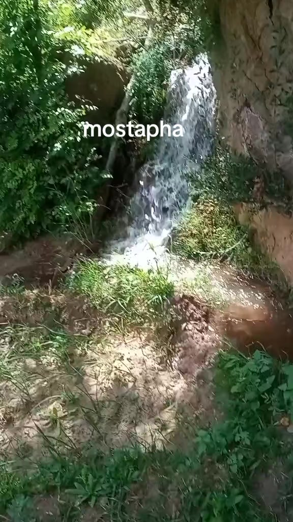 @Mostapha Mildly