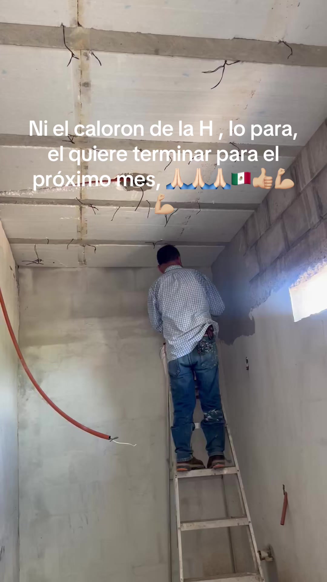 @Maria Del Rosario Solis Hermosil