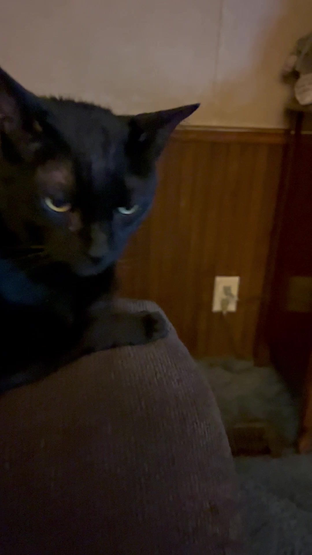 @Karen