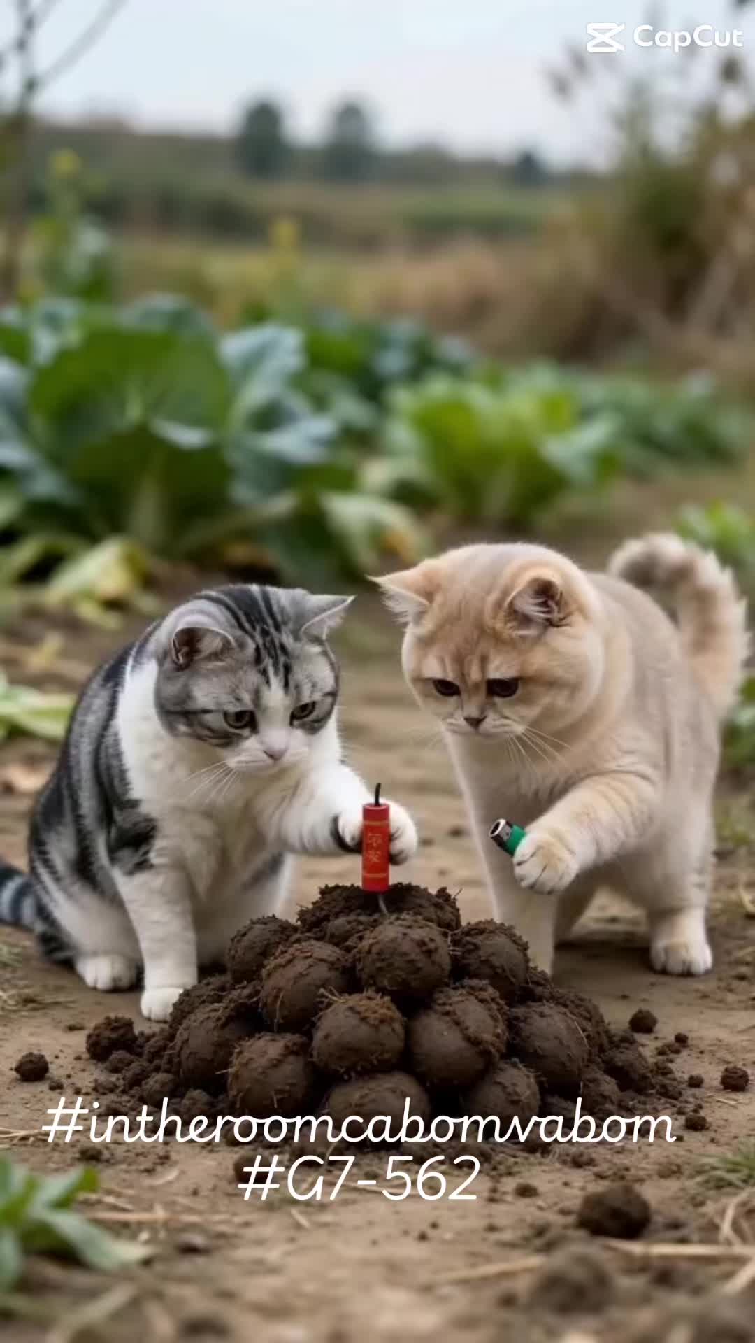 @#soyfeoyque1๐ข๐จ๐
