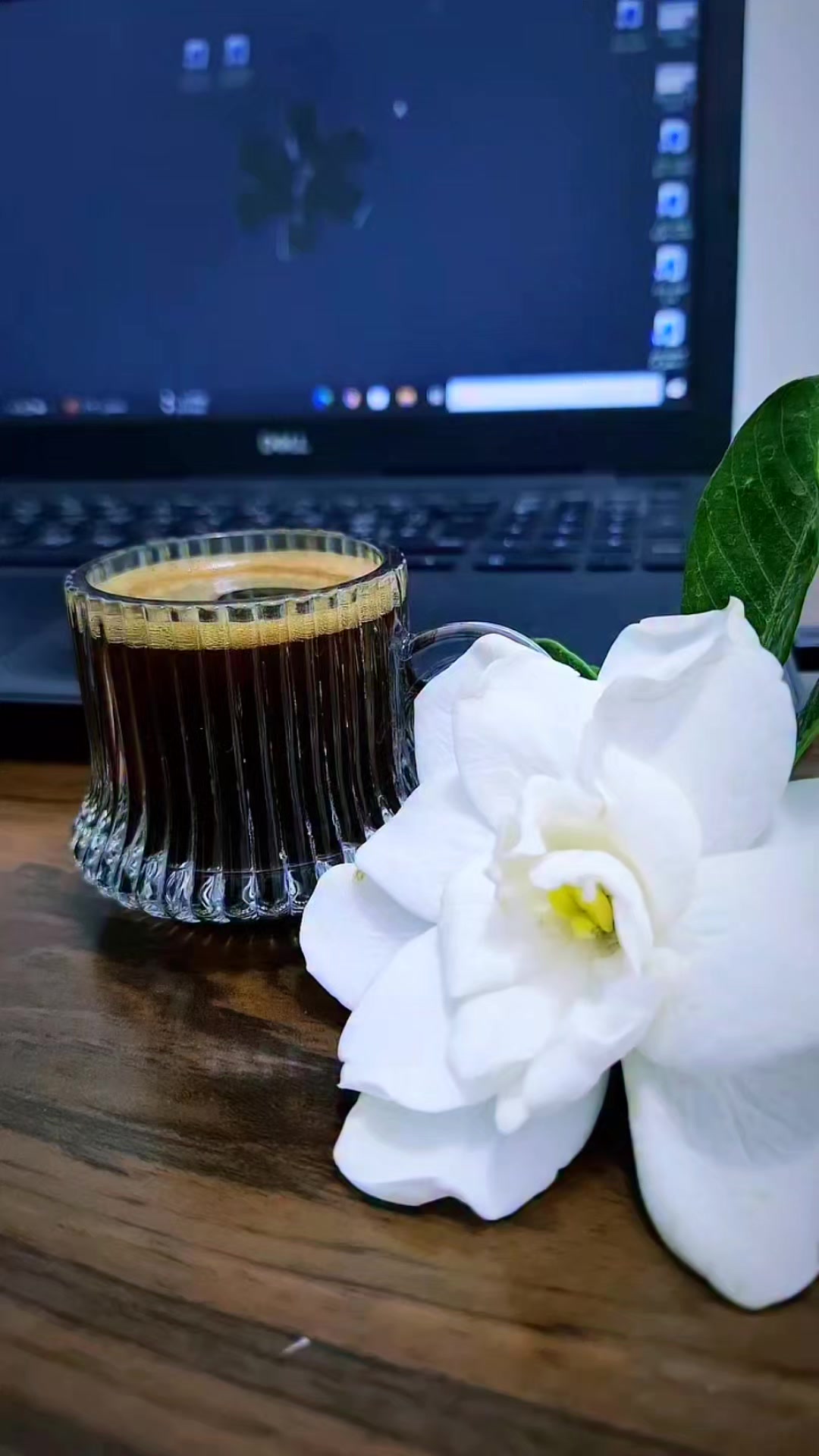 @أُنثى القمَر🎀🧸