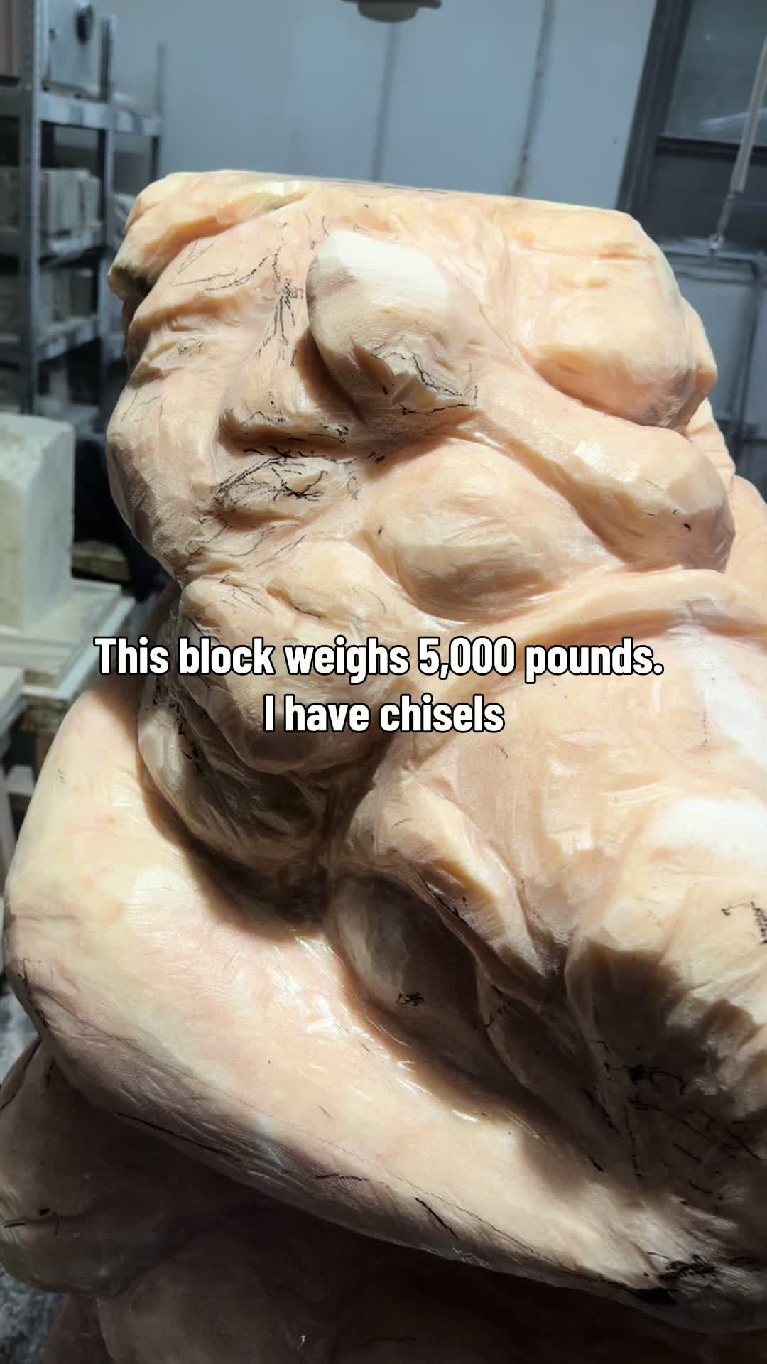 @macleodpittsboxing