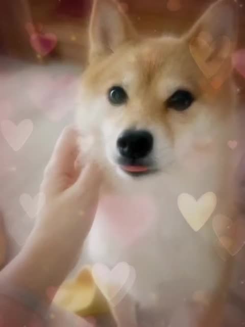 @papyrusarea19