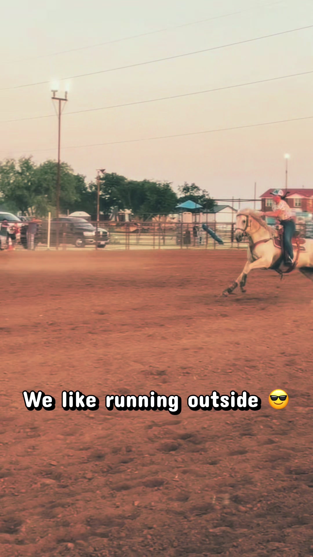 @haley&horses