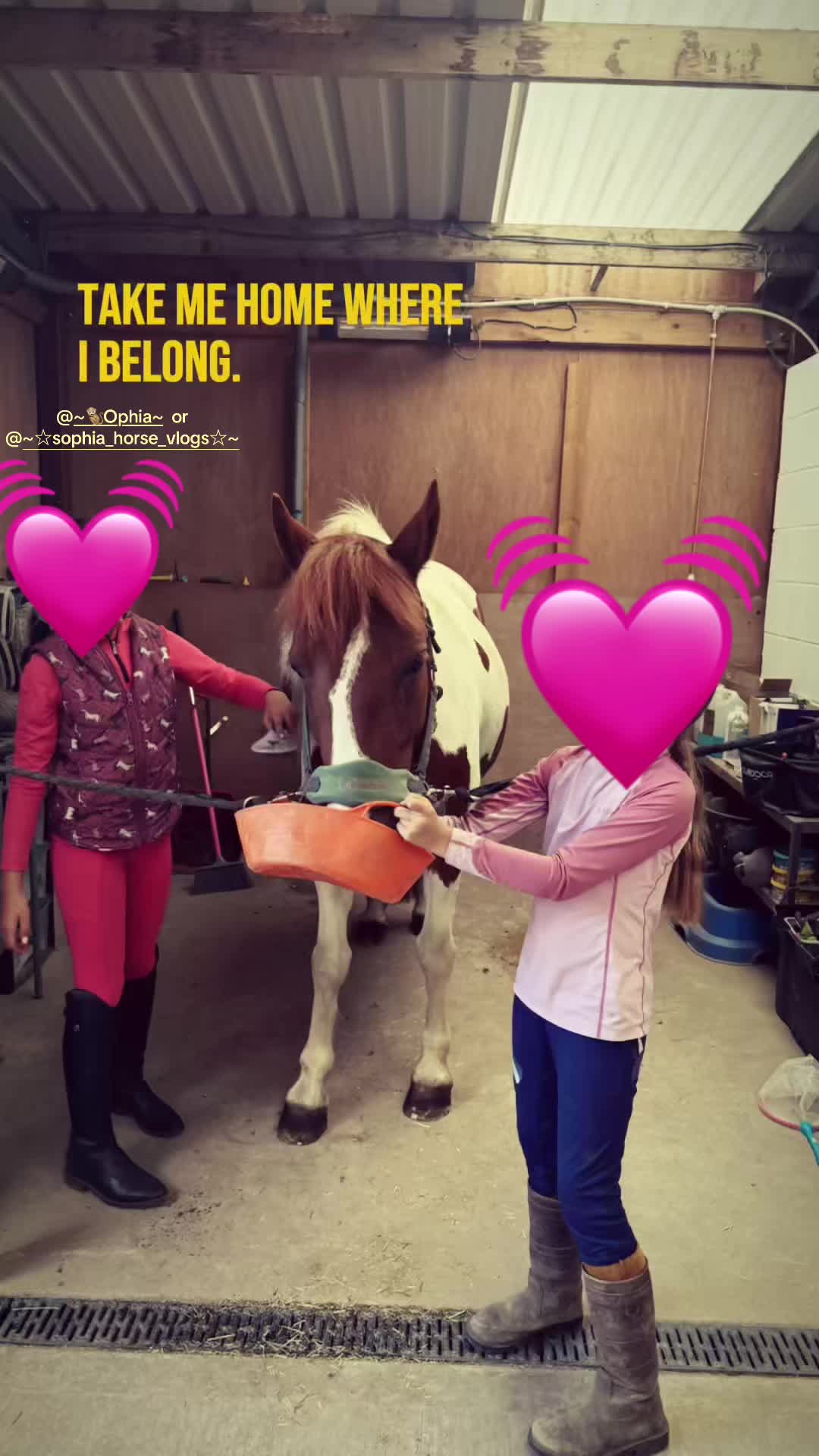 @LottiesHorseAdventures🦄🐴