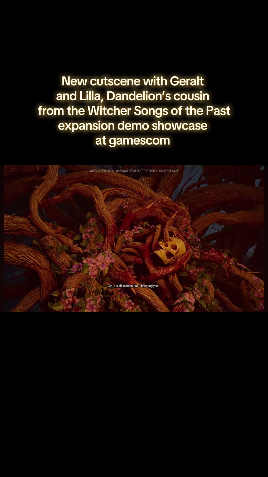 @witcherenthusiast
