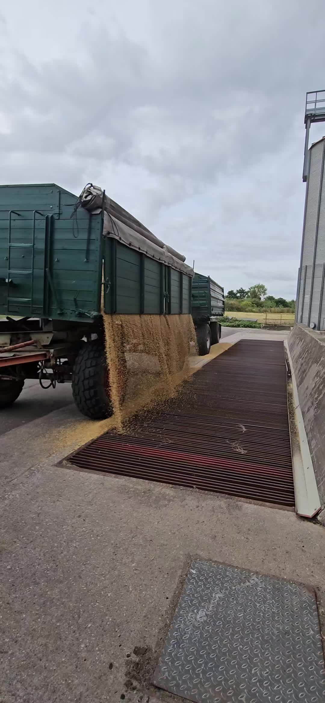 @🌾 𝔻𝕚𝕔𝕜𝕖𝕣 🌾
