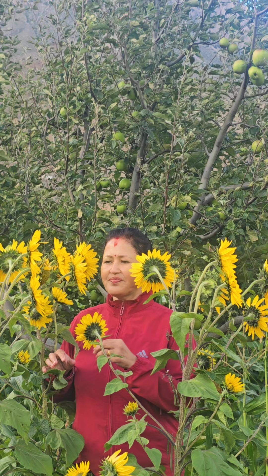 @Gita Adhikari322