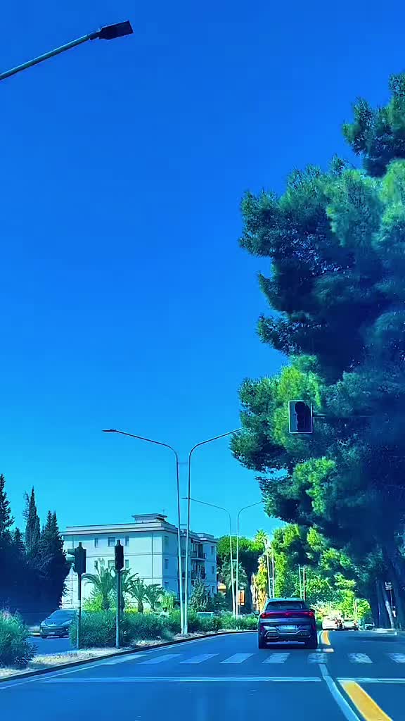 @๐๐ข๐๐๐จ๐๐๐๐ข๐๐ก๐