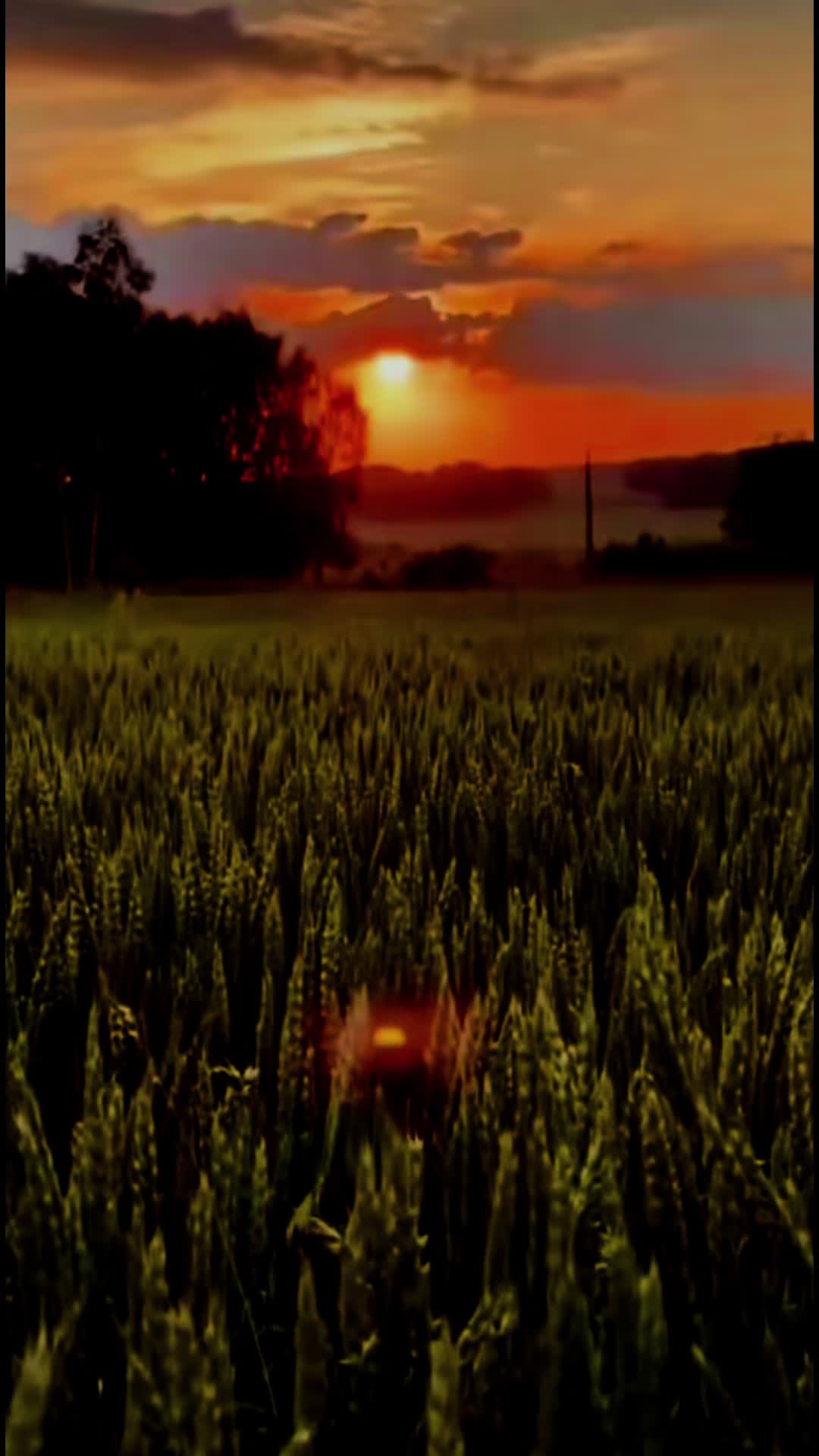 @𝓐𝓷𝓰𝔂76