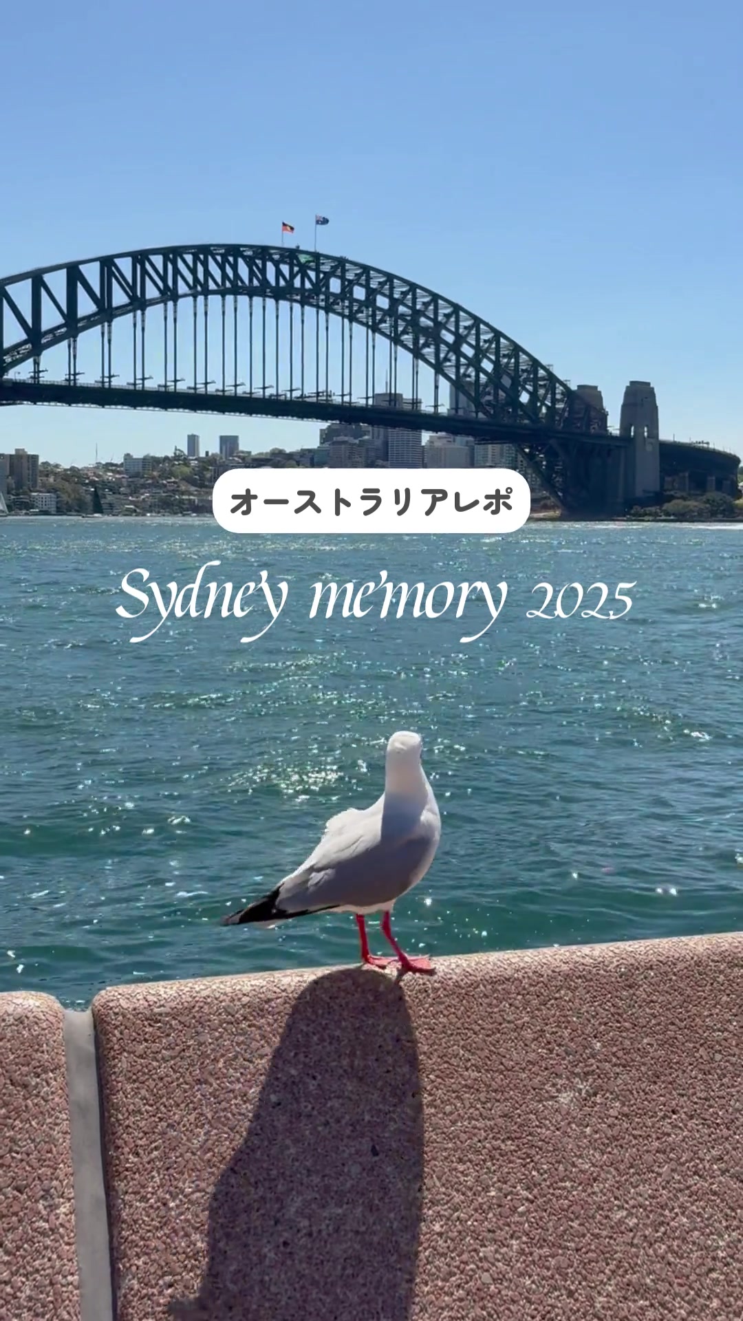 @Sydney_life