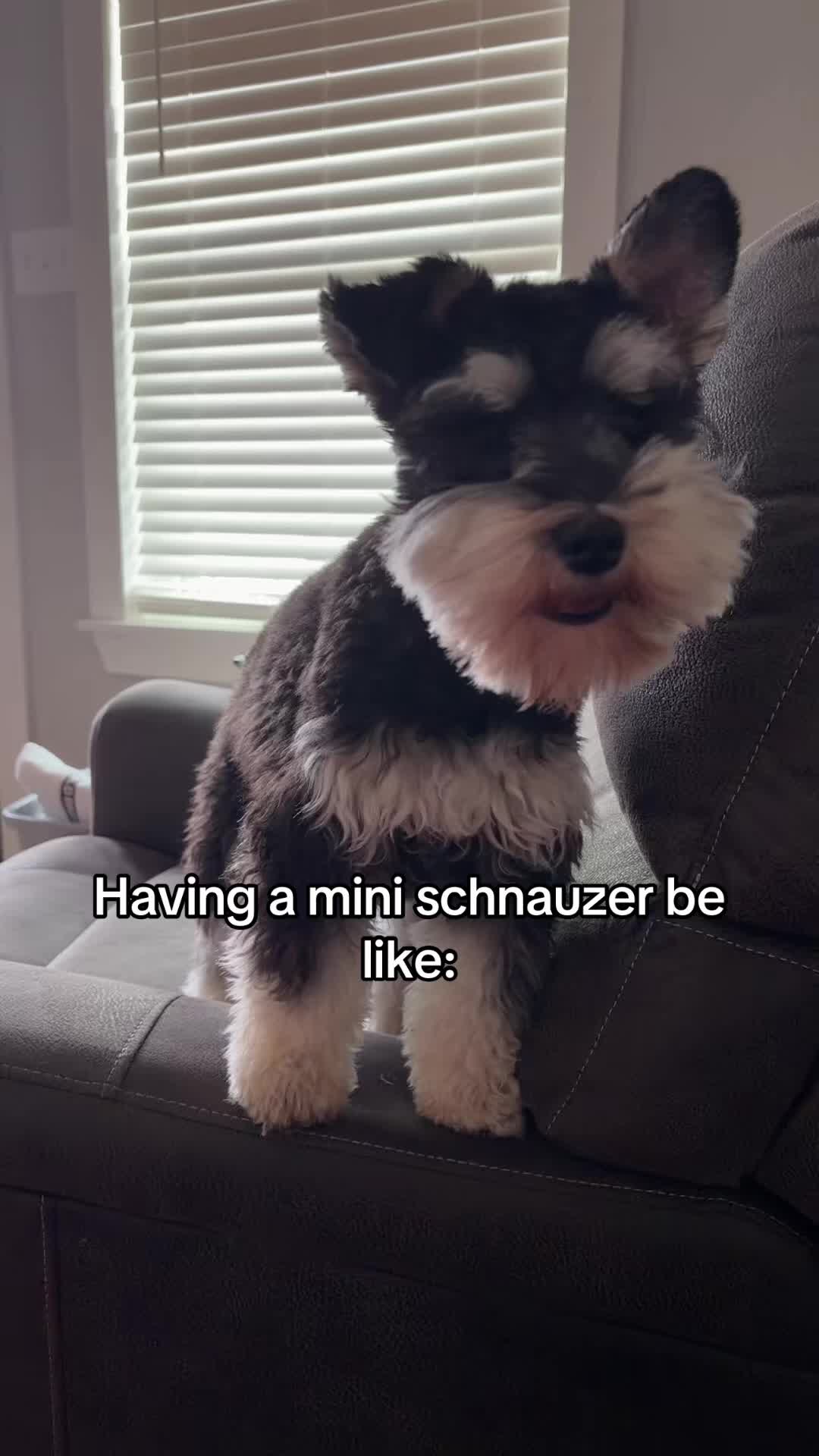 @kacie