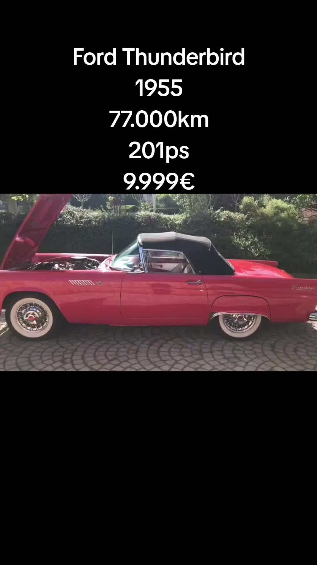 @TikTok94