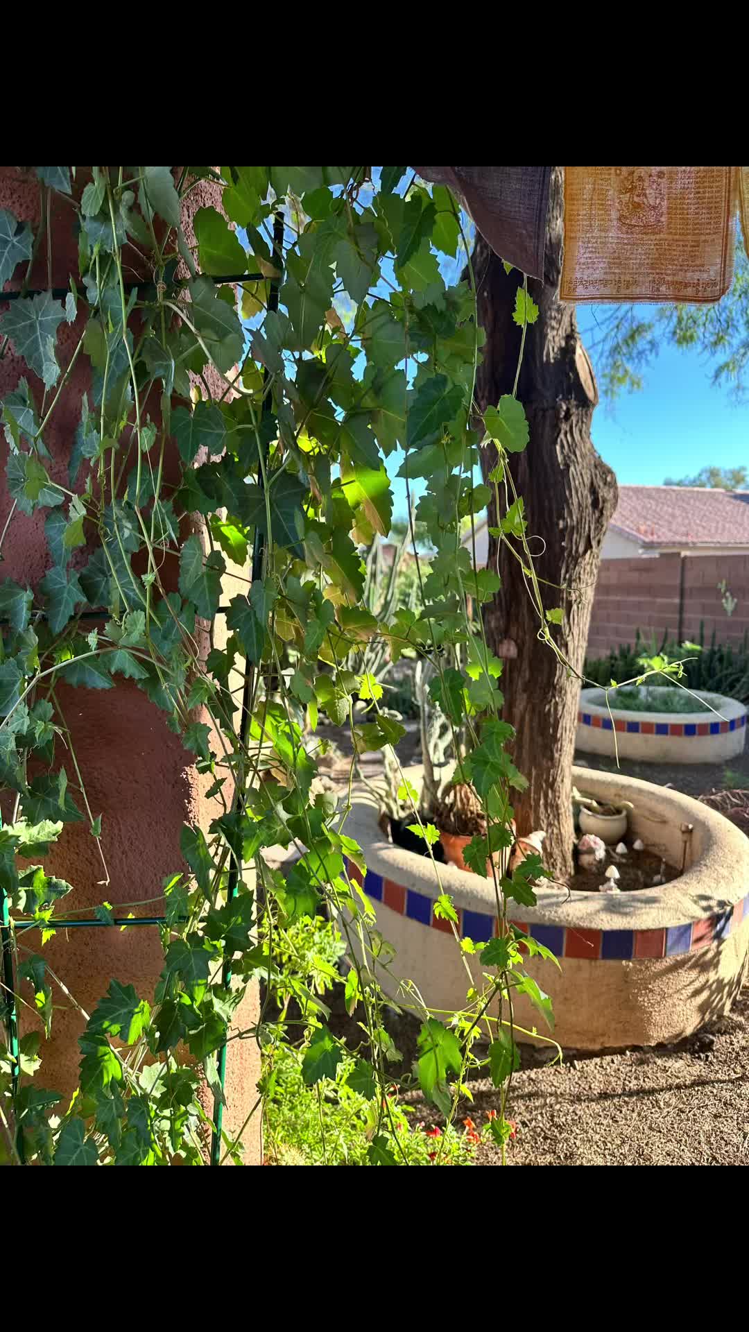 @Jewel of the Desert