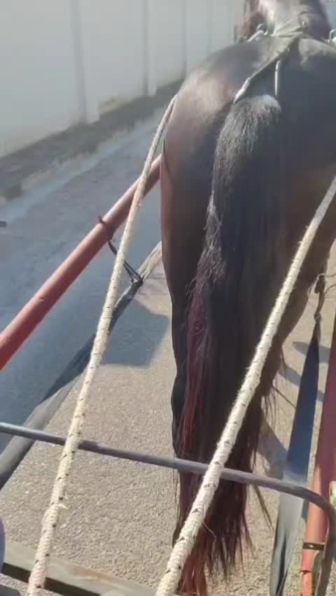 @Raffaelesovrano