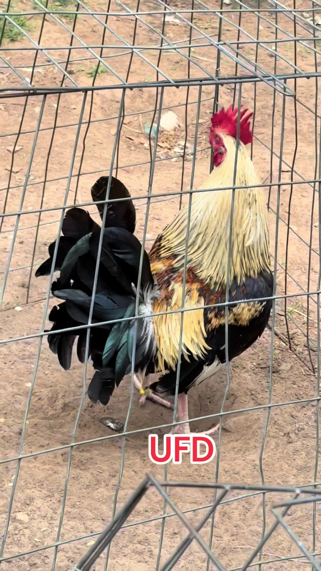 @Bryan Gamefarm