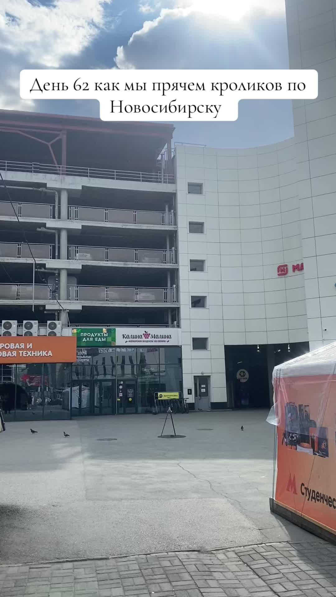 @Кролики