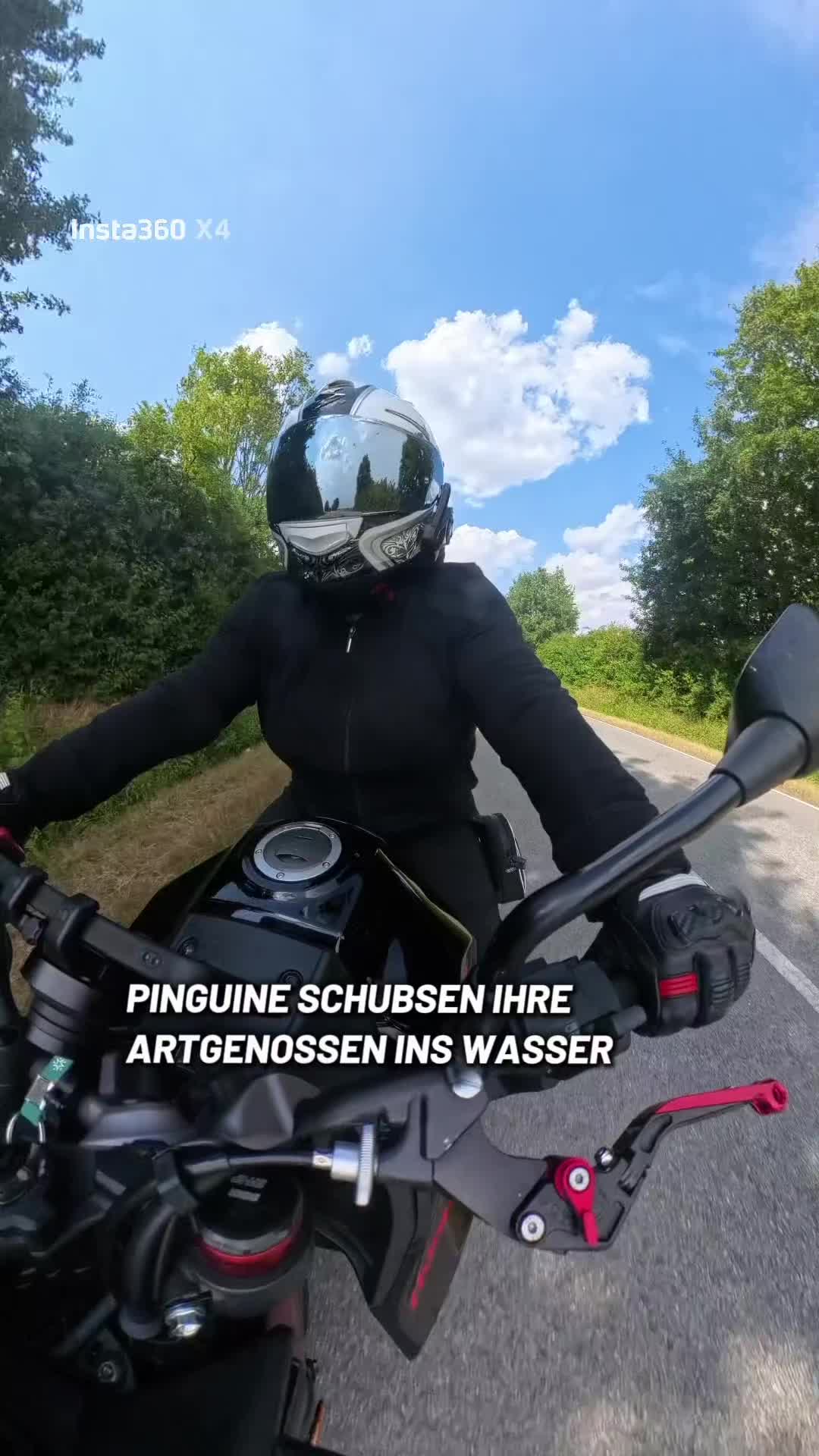 @Biker-Nudel🏴&zwj;☠️