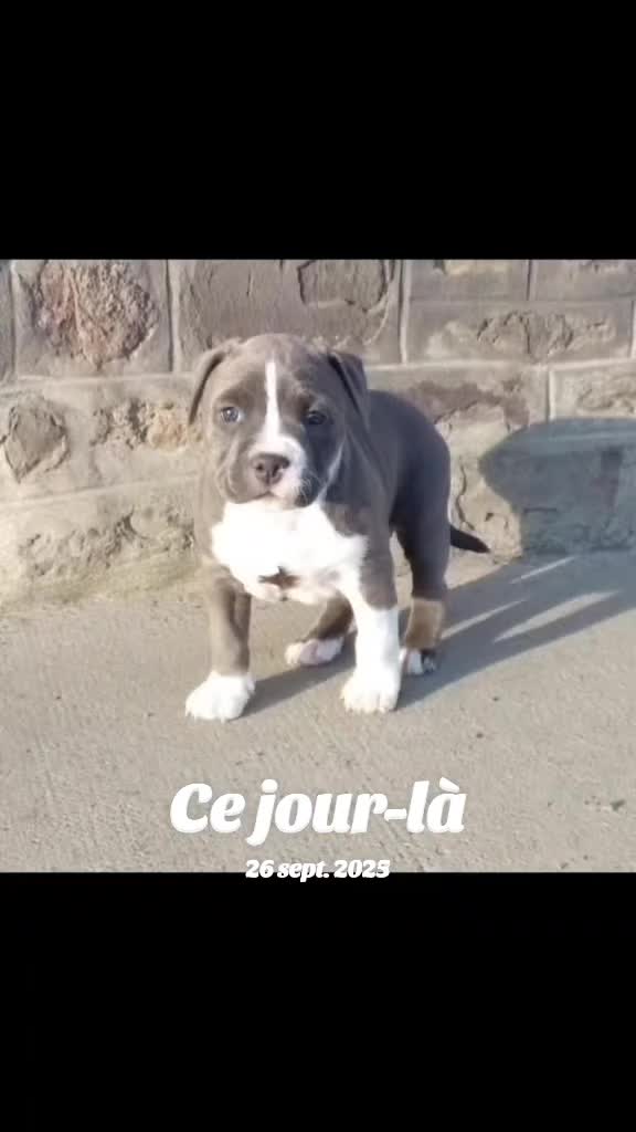 @sheitane b&eacute;b&eacute; 🐍🧿