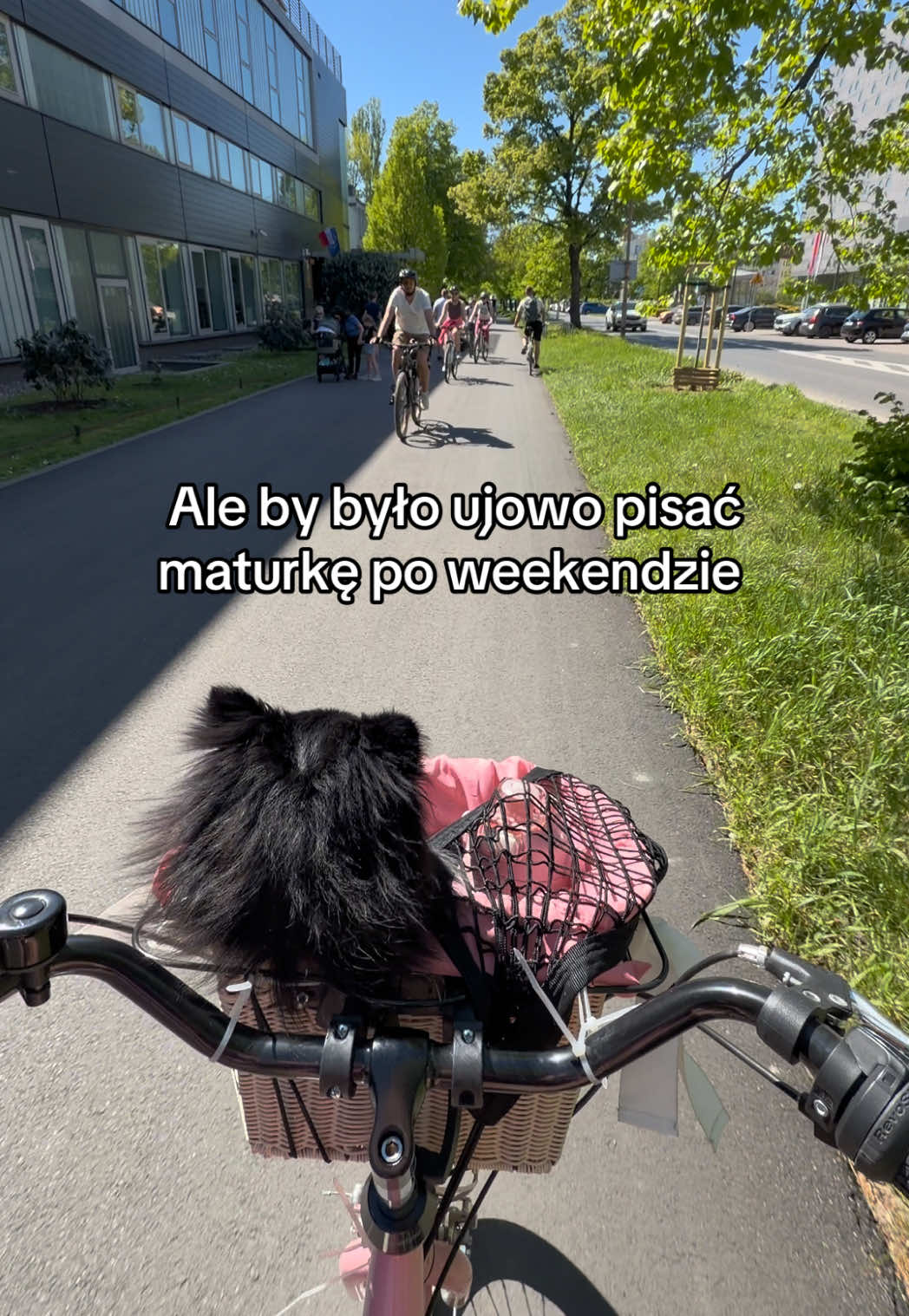 @dariagronkowska