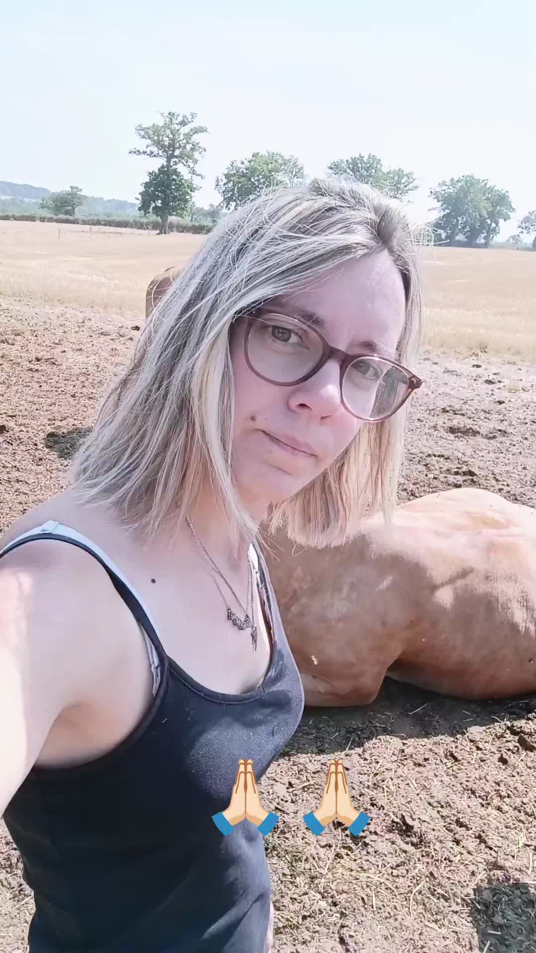 @Ludivine 🪶🐶🐮