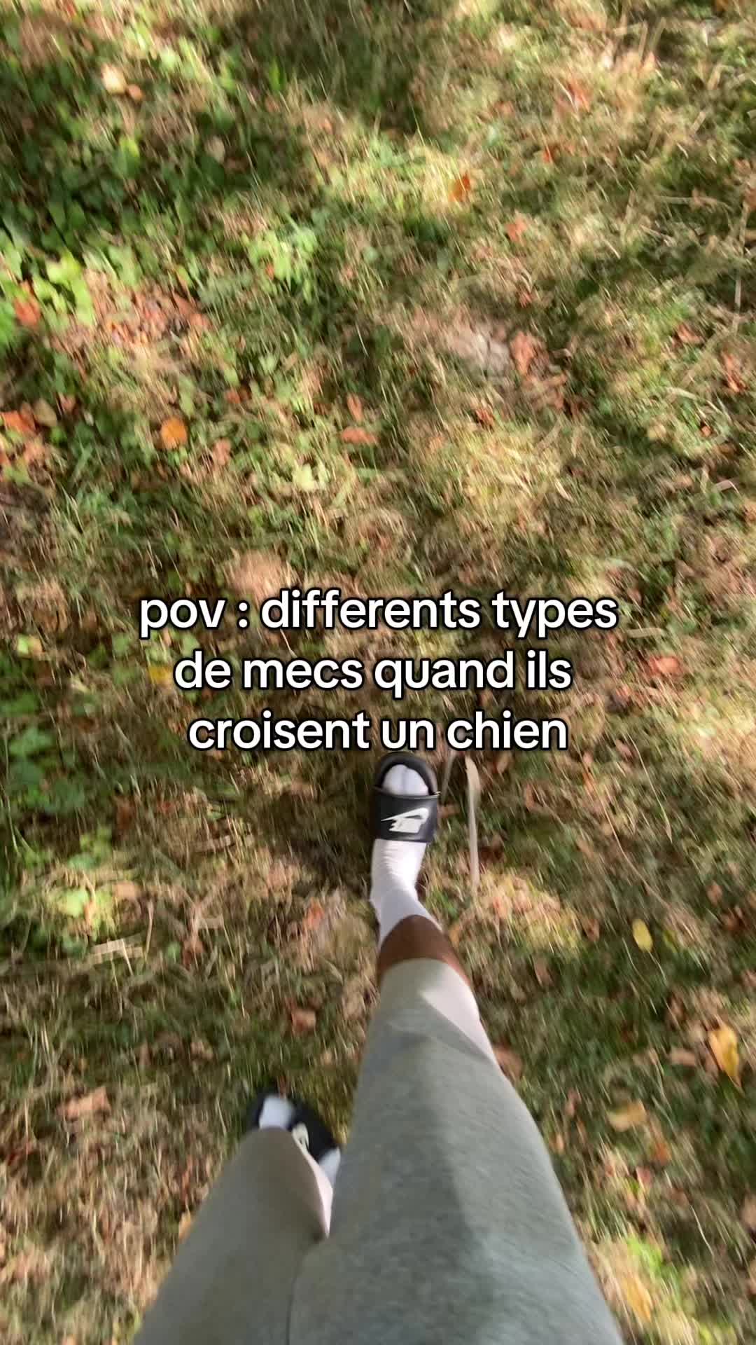 @SMASHEV