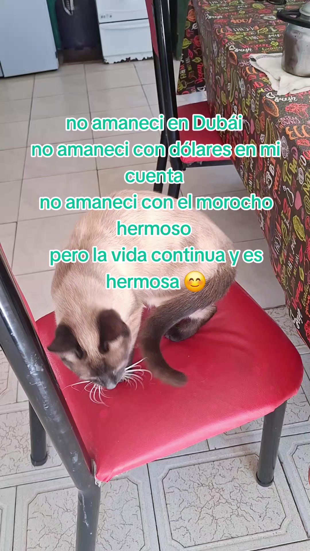 @estelita ☺️