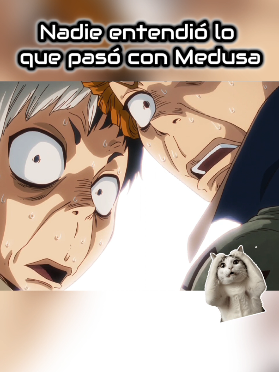 @FandeAnimes2.0