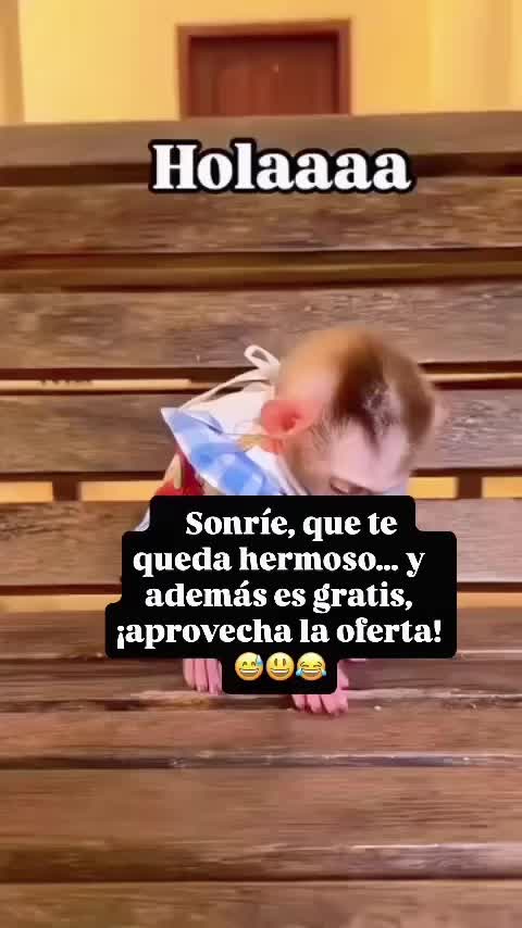 @Palomalucia_24 Cuenta Oficial