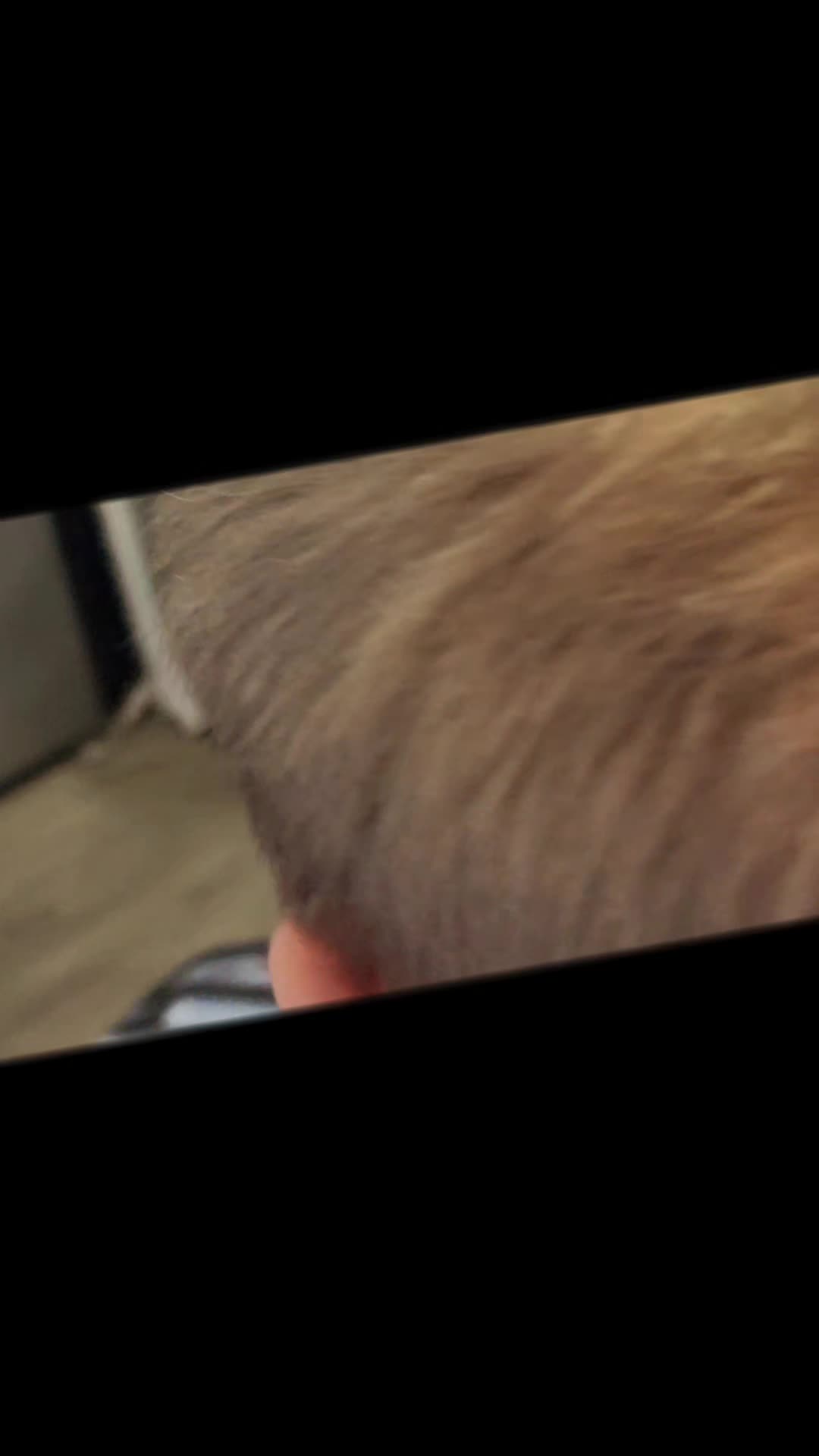 @I'll be HAIR for You