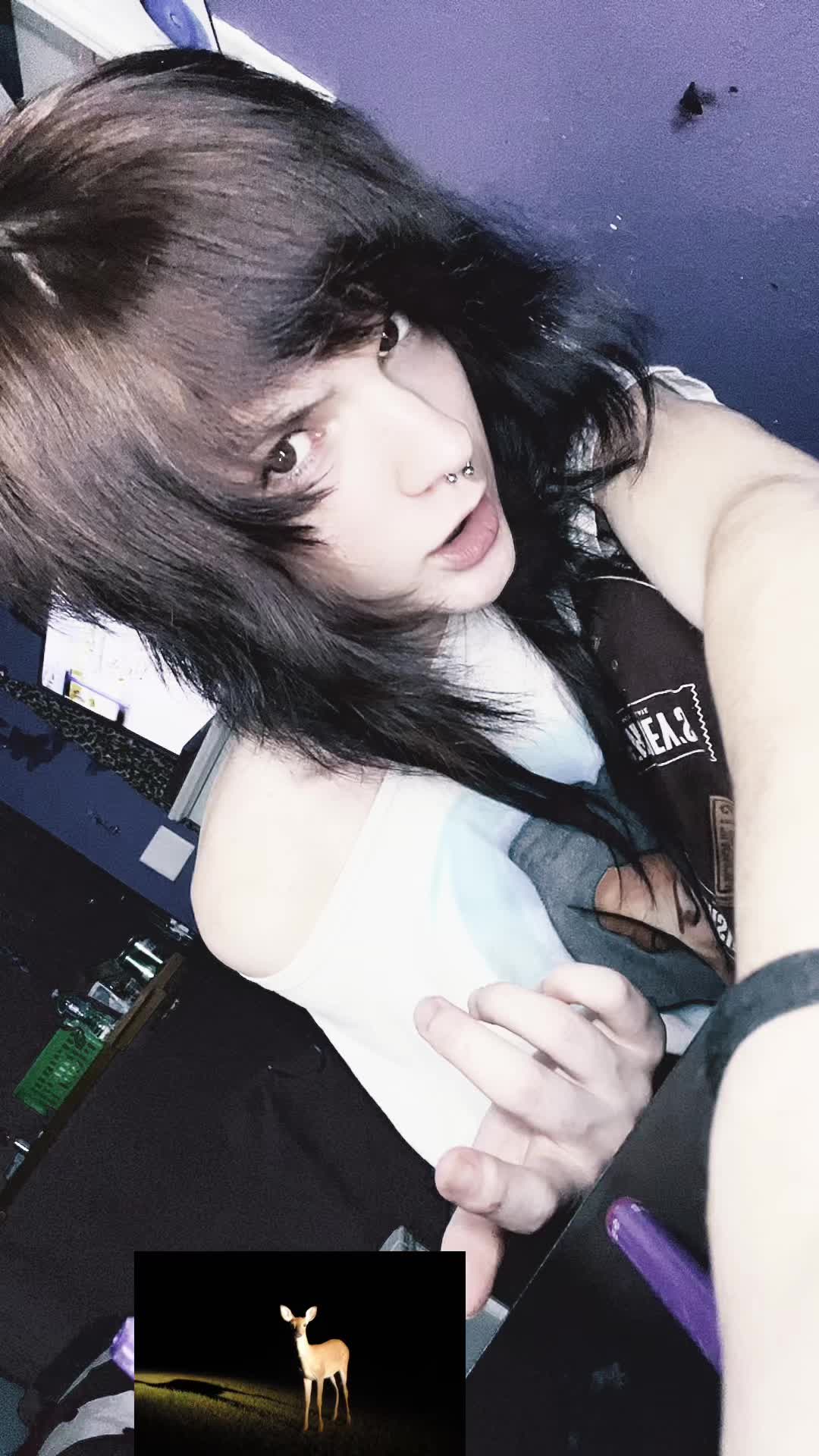 @waltz.moore