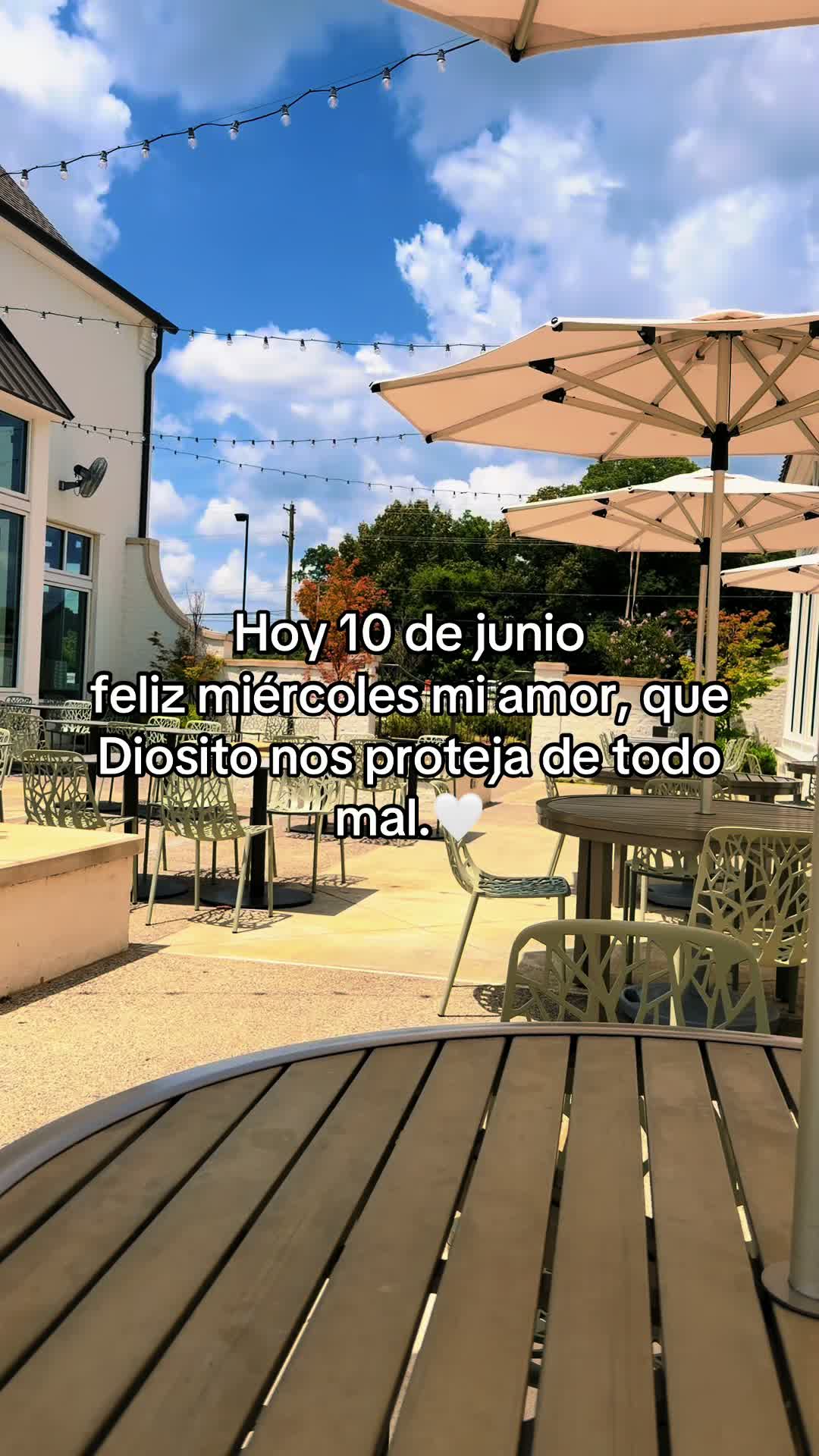 @rolitas502🇬🇹
