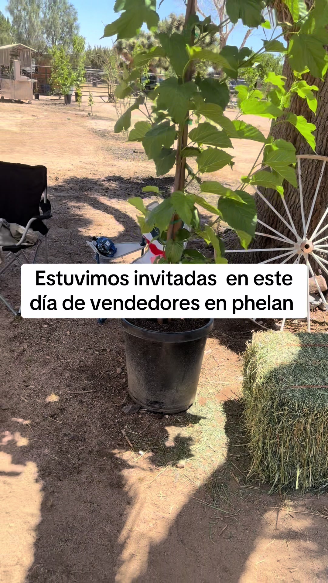 @Arelly Ramírez Ganzo’s nieves
