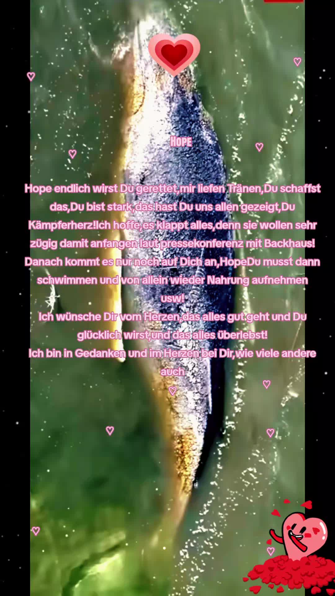 @Steffiskämpferherzen-TDM