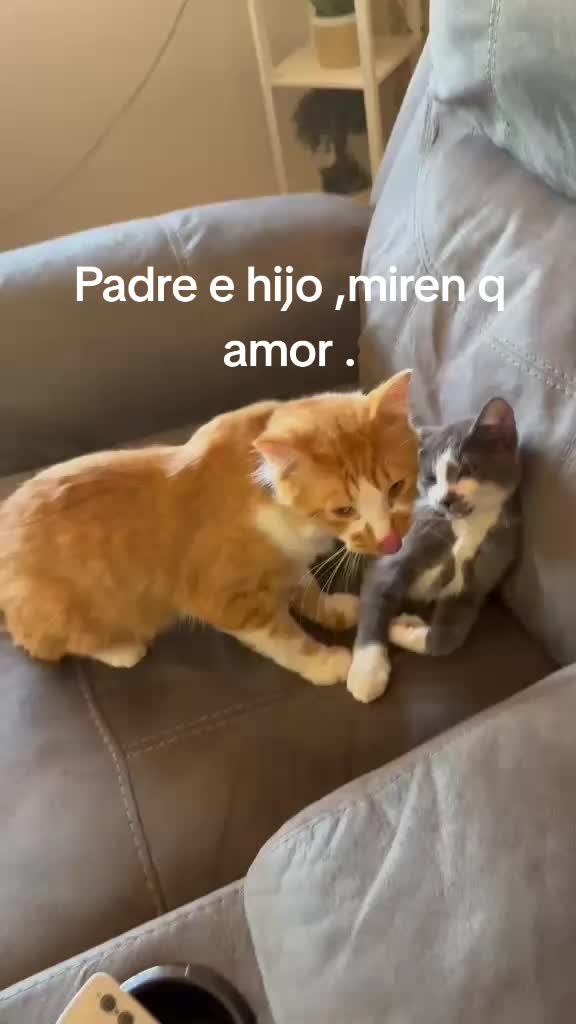 @Mayte Benitez