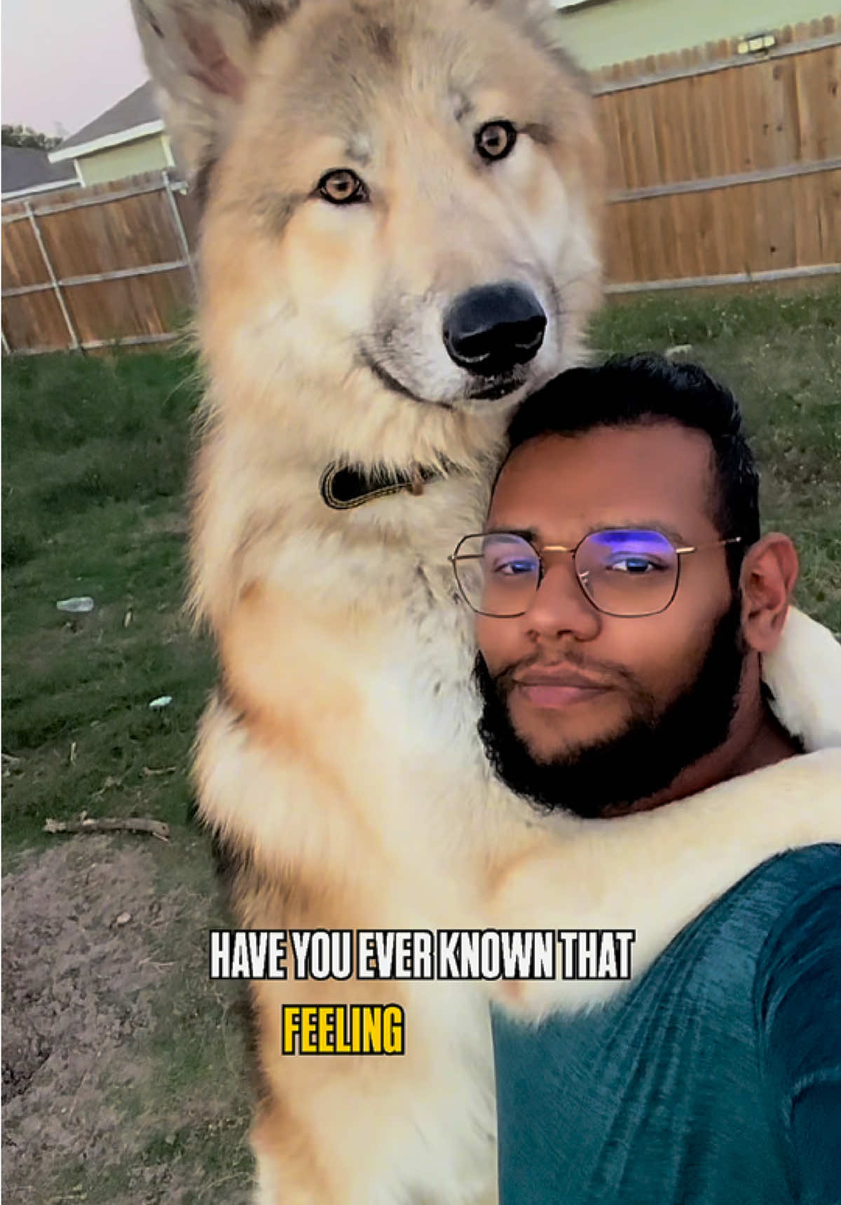 @Neko, Tokahli and Bear