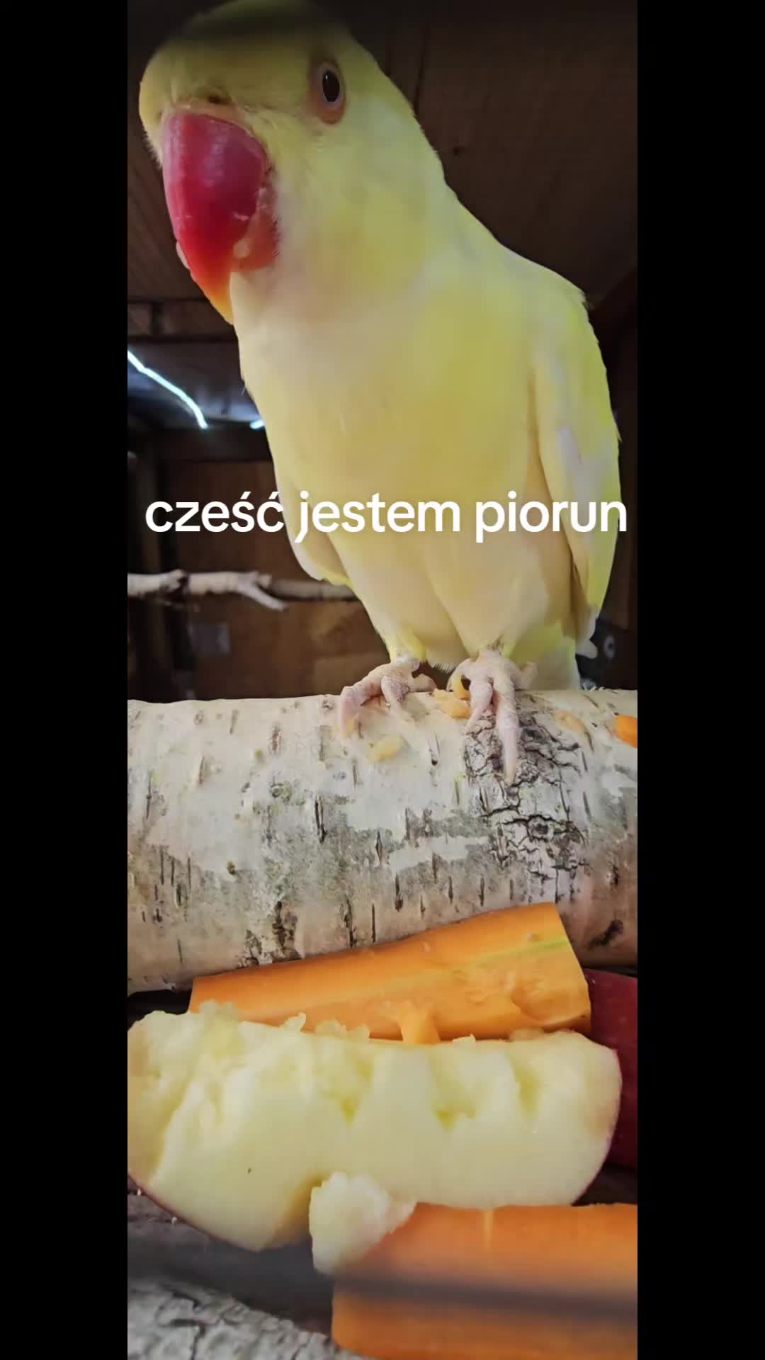 @36_CRIS23