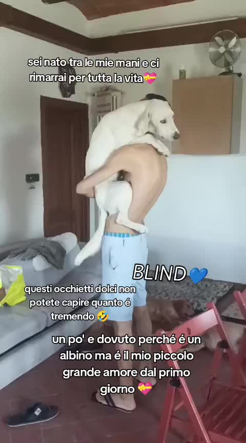 @KIRA❤️LEYLA💙